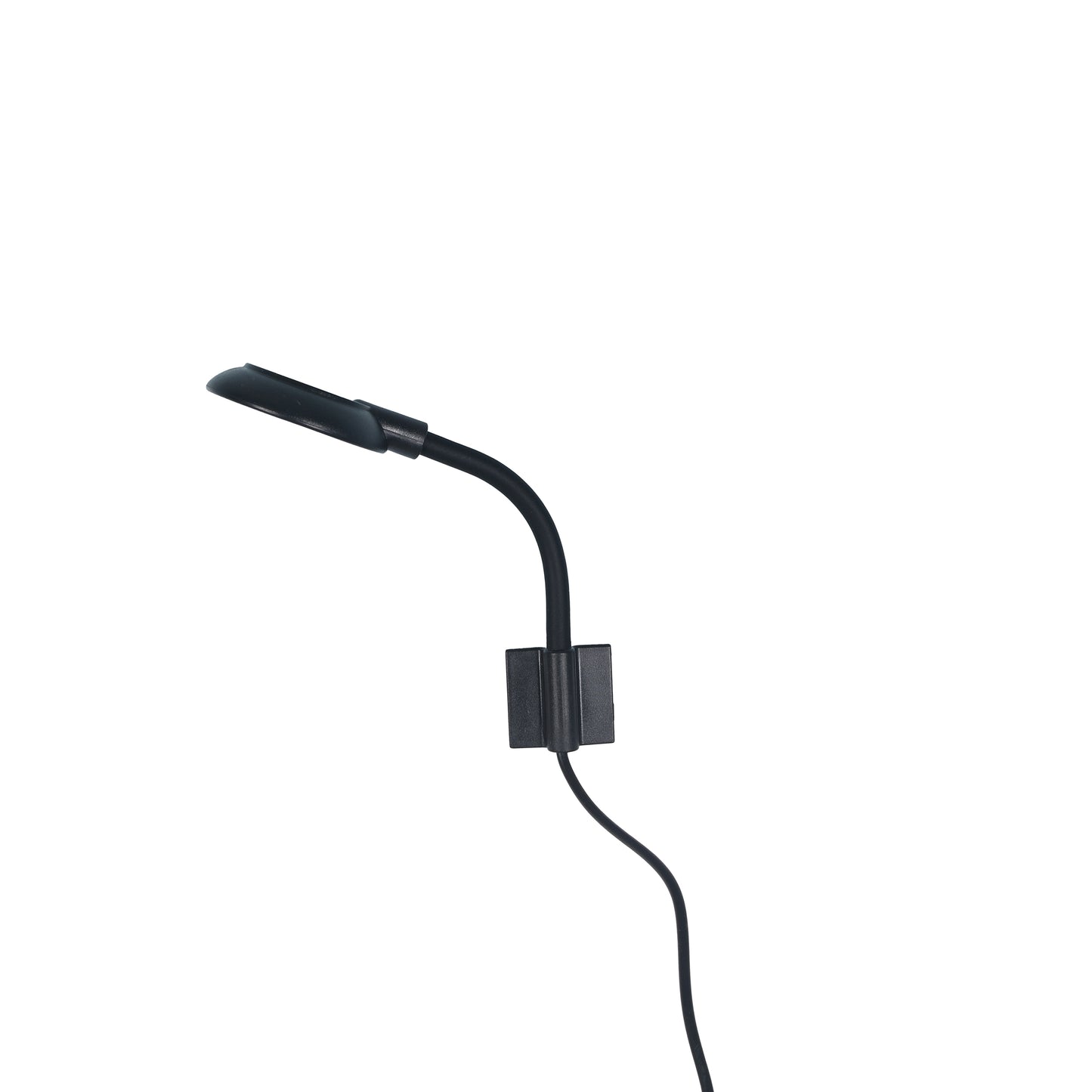 Y-3.5W | LED LAMP